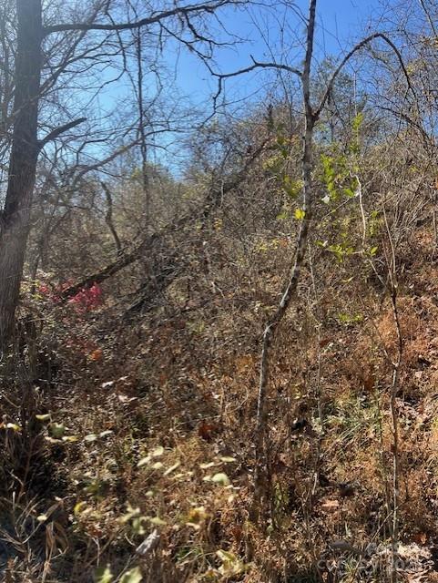 Tbd Bend View Drive Marshall NC 28753