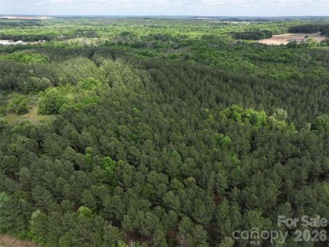 Tbd Horne Town Road Polkton NC 28135