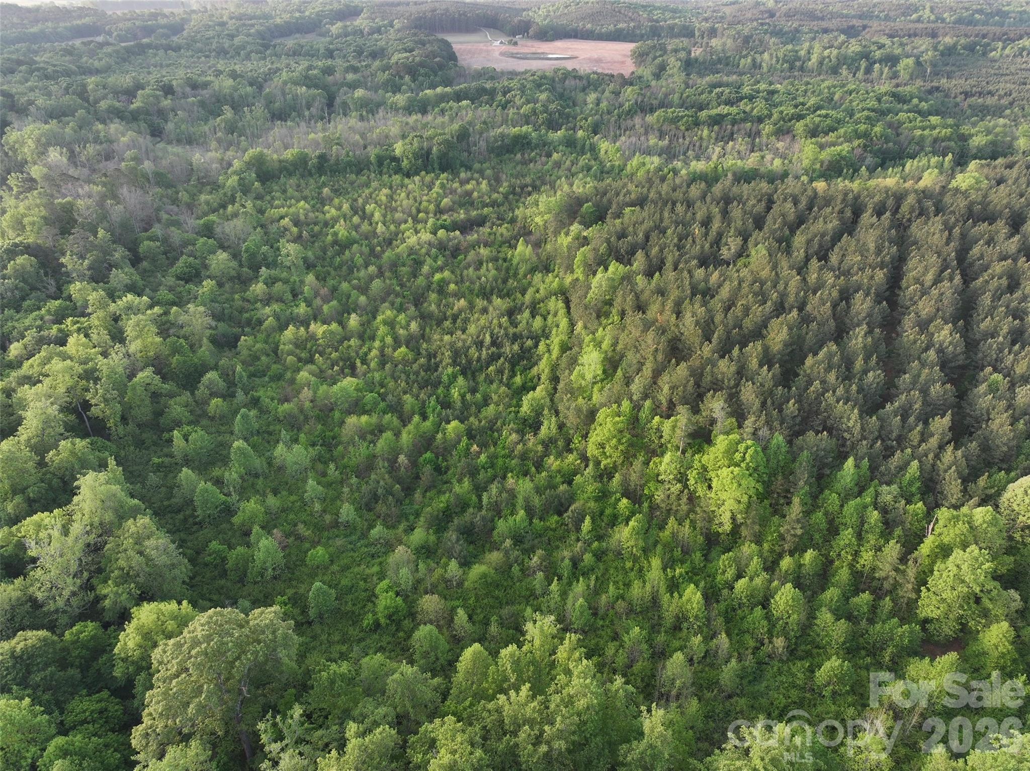 Tbd Horne Town Road Polkton NC 28135