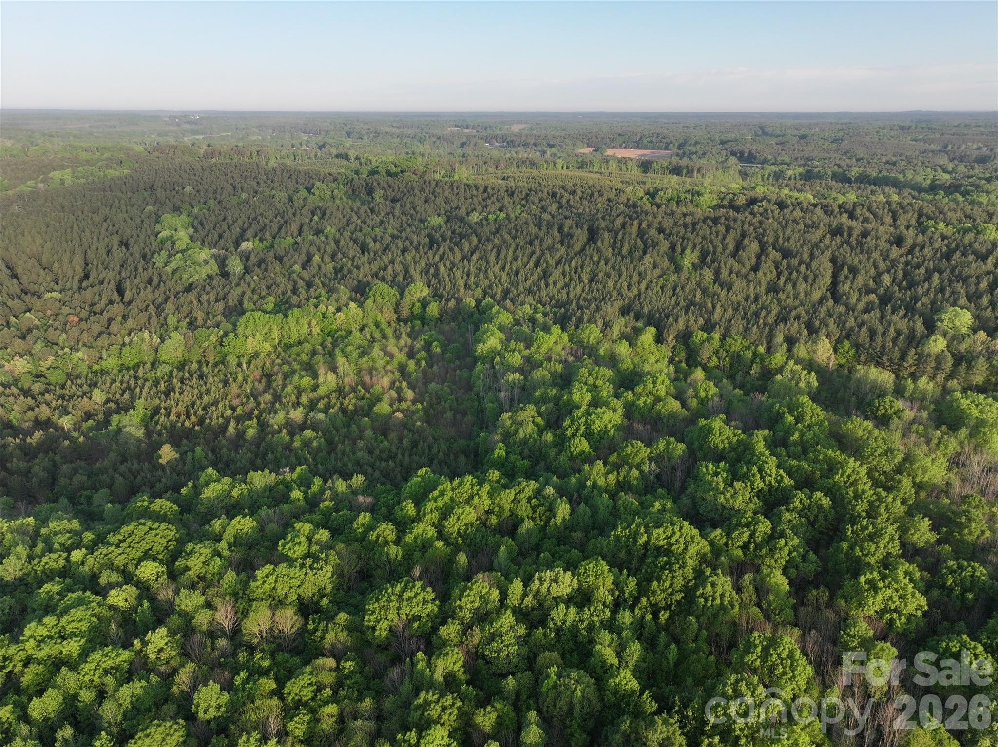 Tbd Horne Town Road Polkton NC 28135