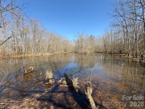 Tbd Horne Town Road Polkton NC 28135