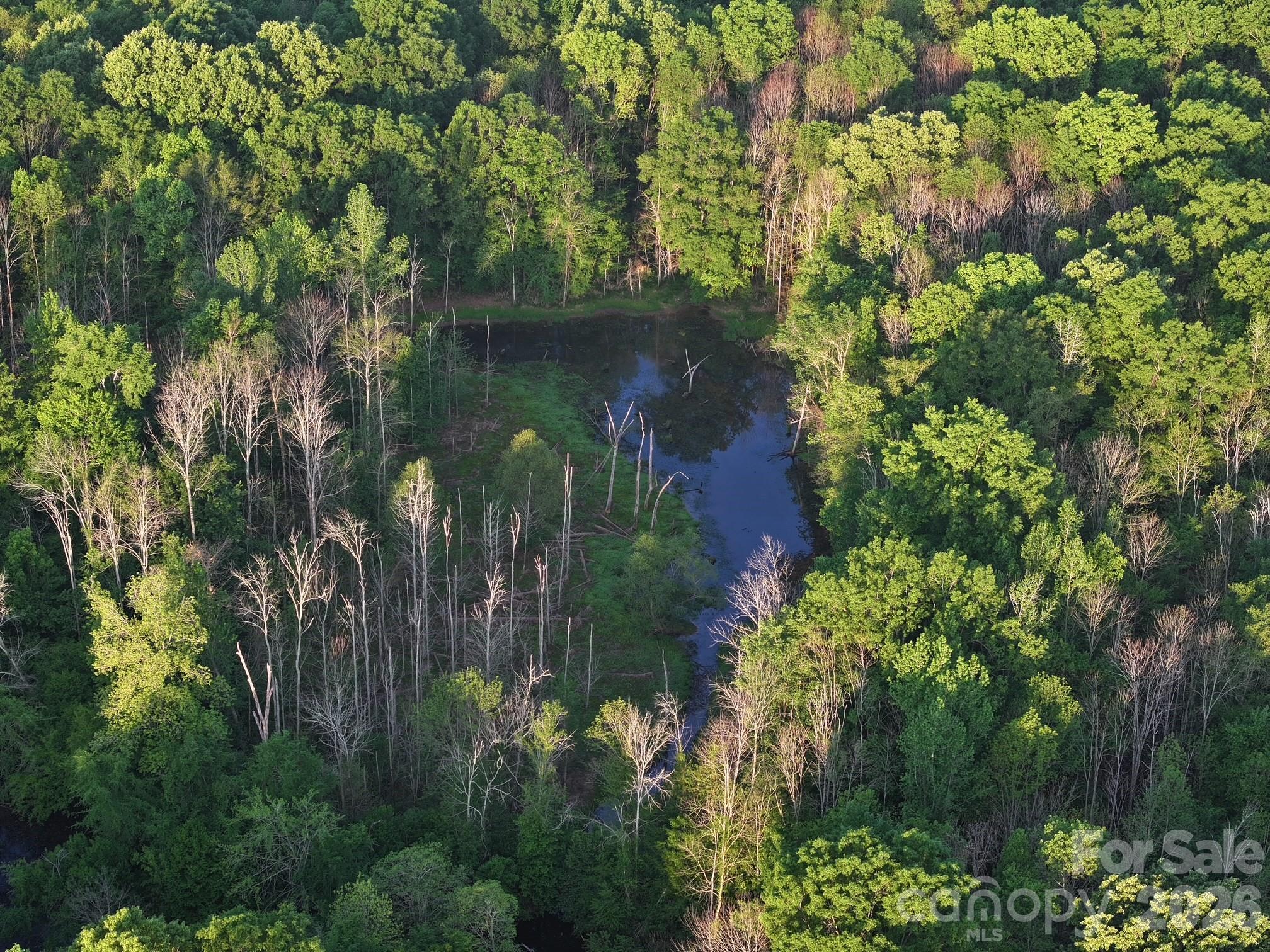 Tbd Horne Town Road Polkton NC 28135