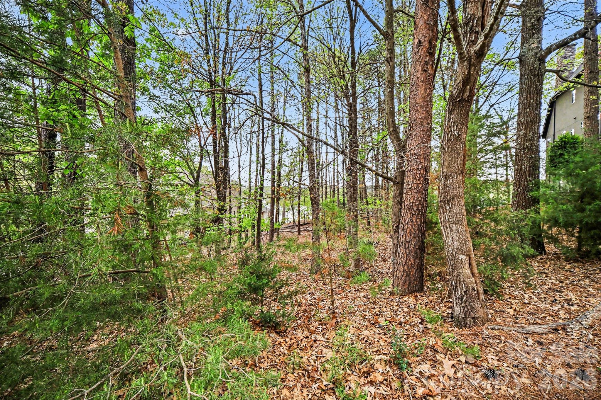 3217 Lake Pointe Drive Belmont NC 28173