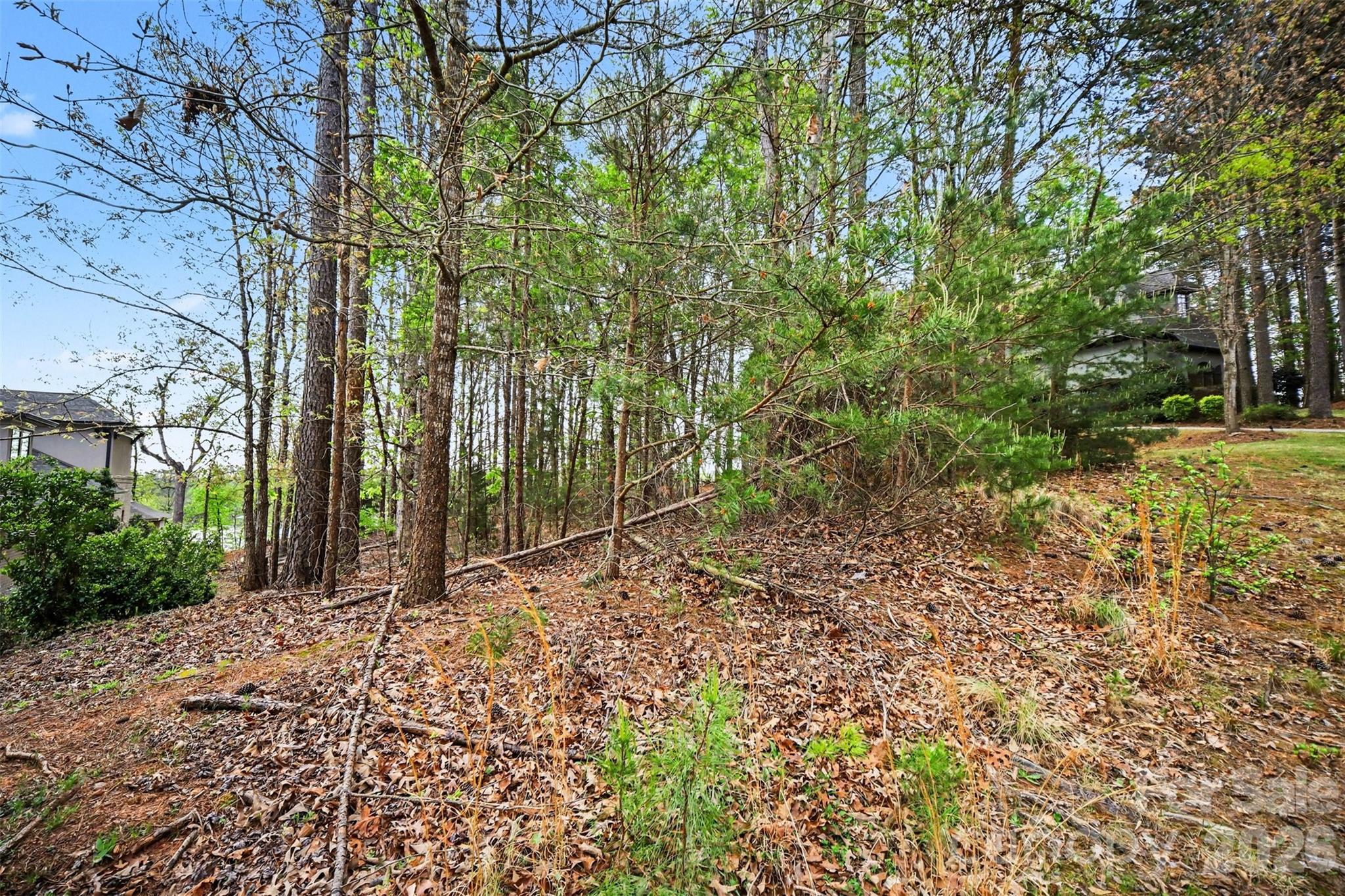 3217 Lake Pointe Drive Belmont NC 28173