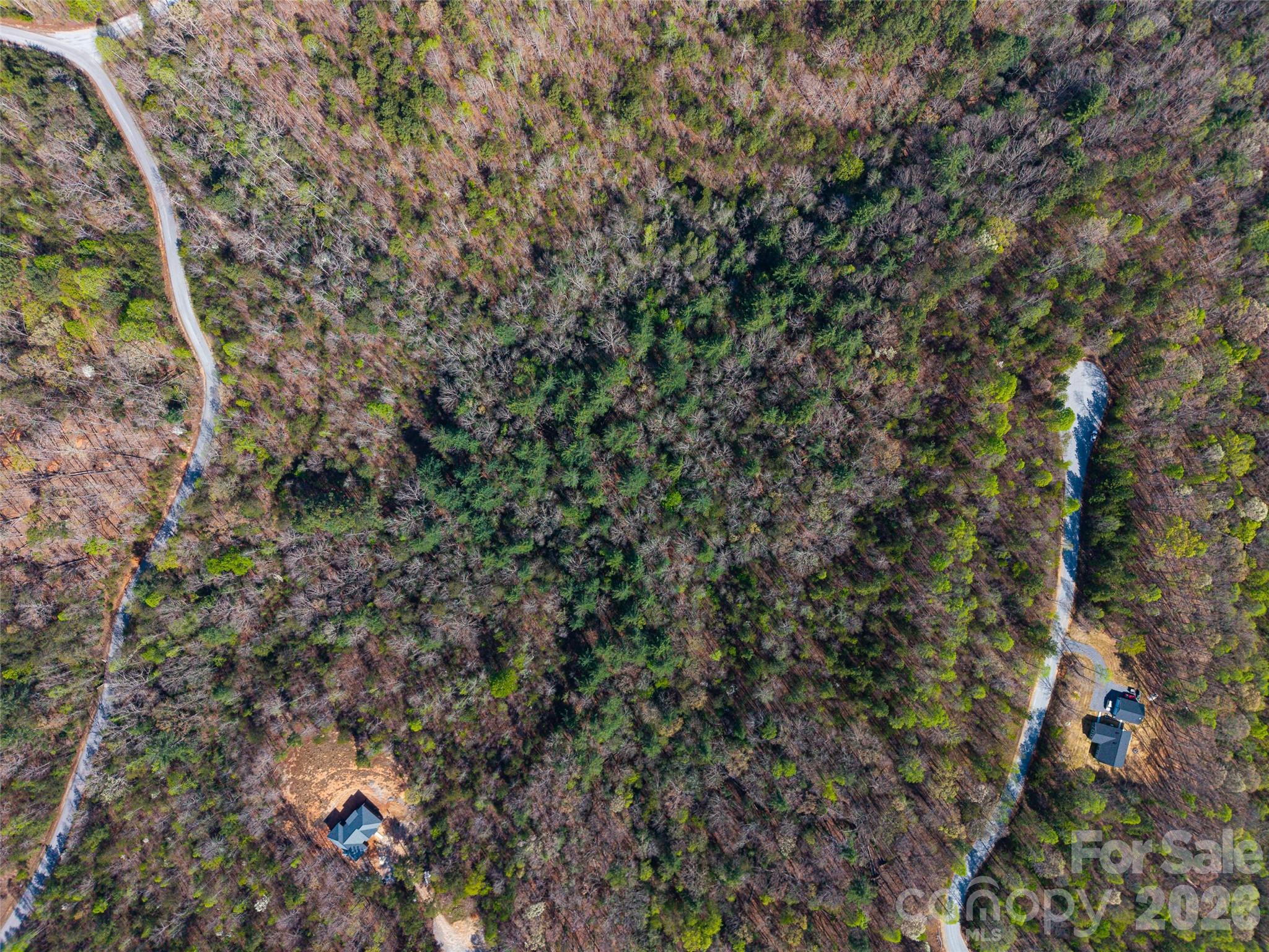 0 Tayberry Drive Nebo NC 28761