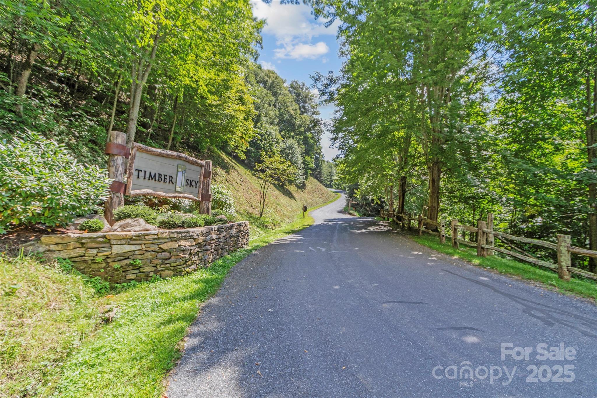 Lot 9 Wormy Chestnut Road Burnsville NC 28714