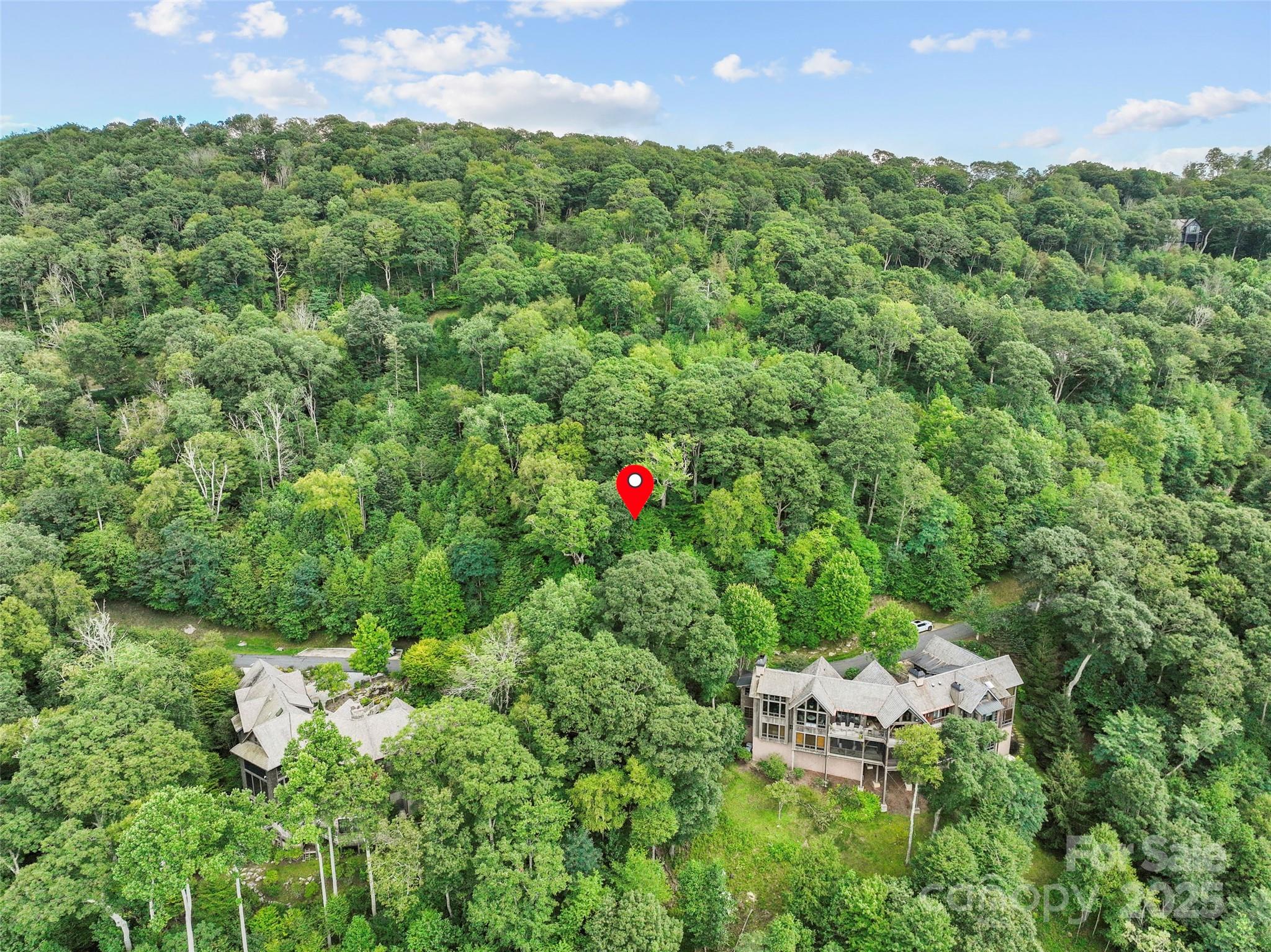 Lot 9 Wormy Chestnut Road Burnsville NC 28714
