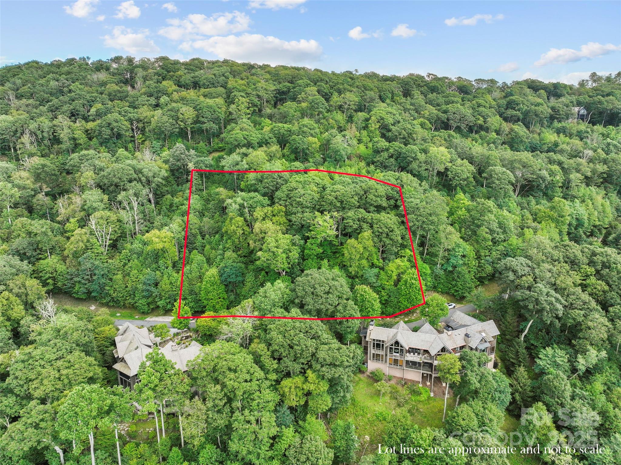 Lot 9 Wormy Chestnut Road Burnsville NC 28714