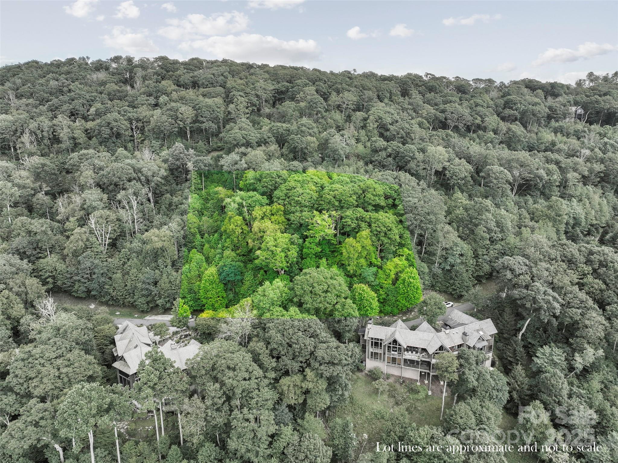 Lot 9 Wormy Chestnut Road Burnsville NC 28714