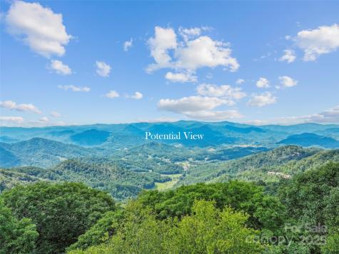 Lot 9 Wormy Chestnut Road Burnsville NC 28714