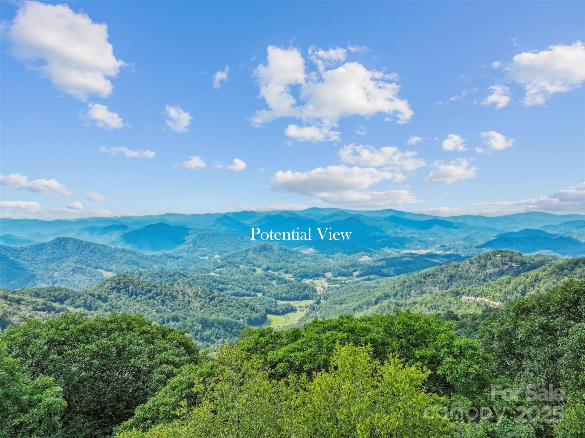 Lot 9 Wormy Chestnut Road Burnsville NC 28714
