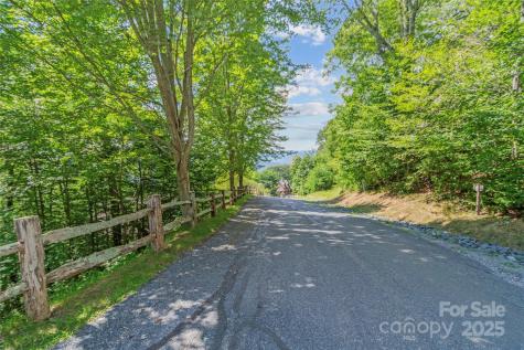 Lot 9 Wormy Chestnut Road Burnsville NC 28714