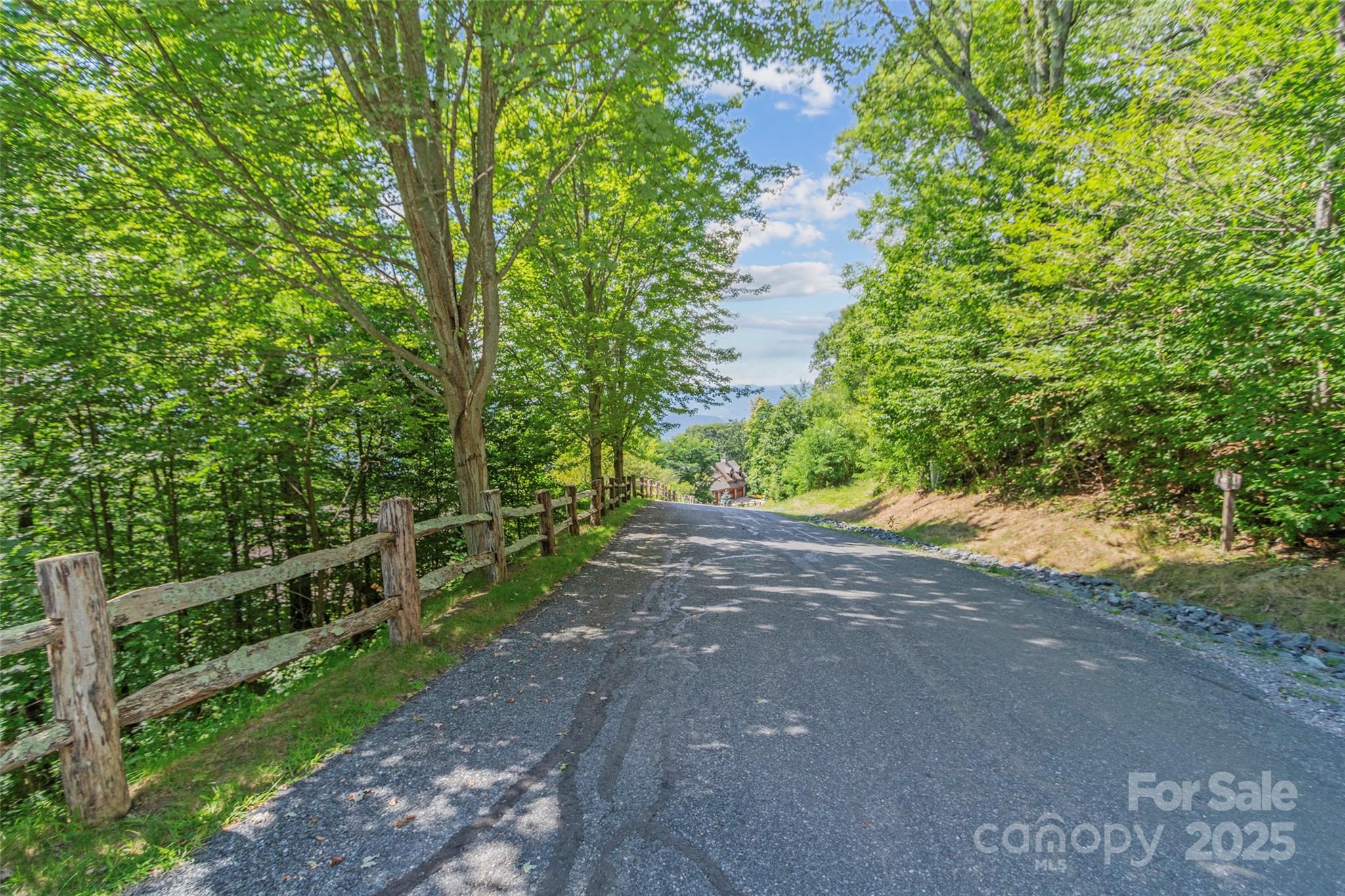 Lot 9 Wormy Chestnut Road Burnsville NC 28714