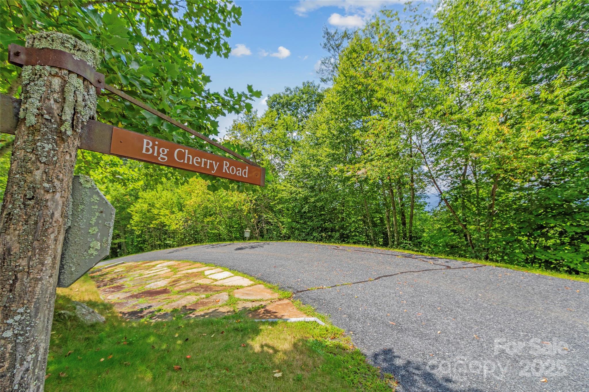 Lot 9 Wormy Chestnut Road Burnsville NC 28714