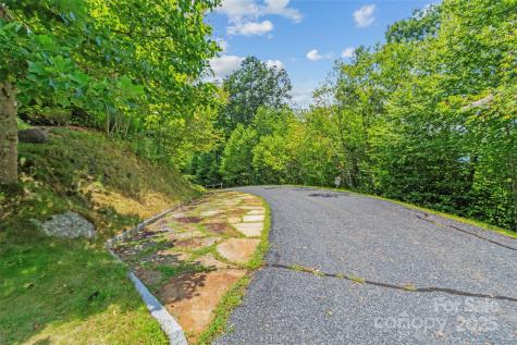 Lot 9 Wormy Chestnut Road Burnsville NC 28714
