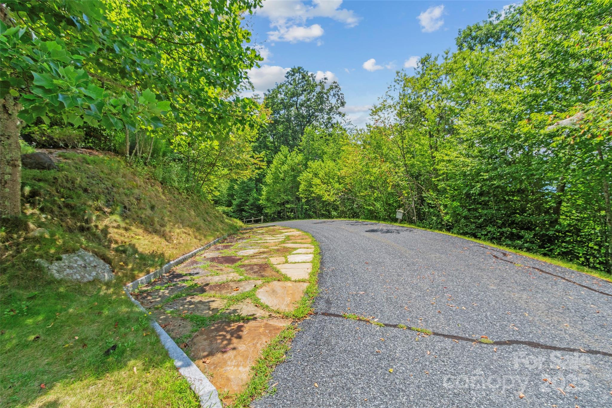 Lot 9 Wormy Chestnut Road Burnsville NC 28714