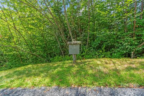 Lot 9 Wormy Chestnut Road Burnsville NC 28714