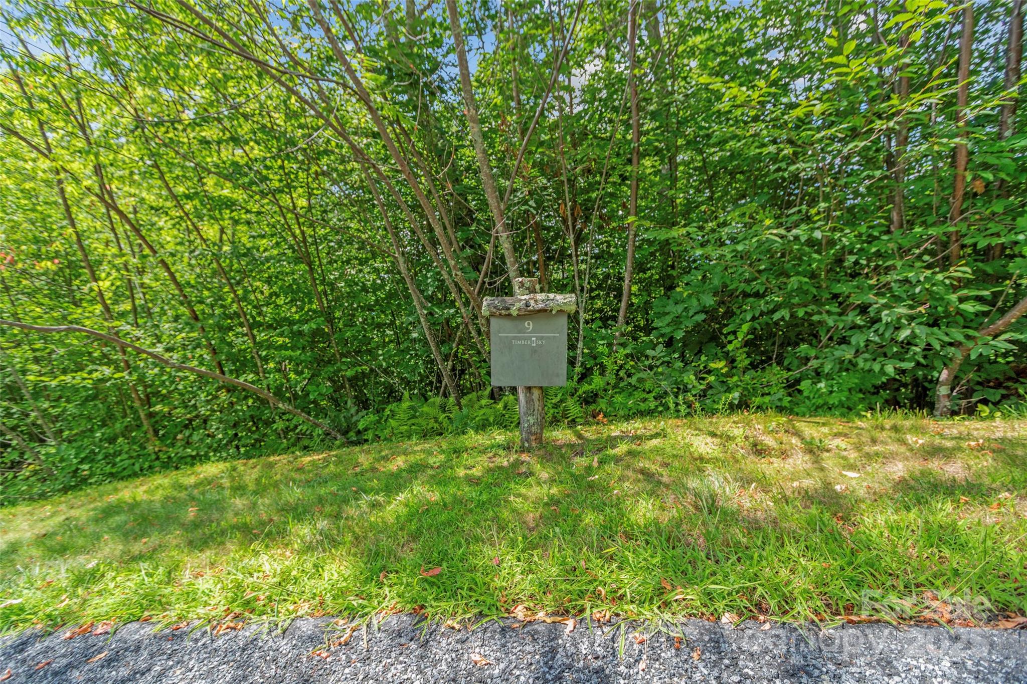 Lot 9 Wormy Chestnut Road Burnsville NC 28714