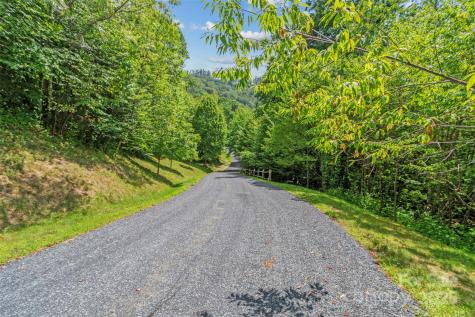 Lot 9 Wormy Chestnut Road Burnsville NC 28714