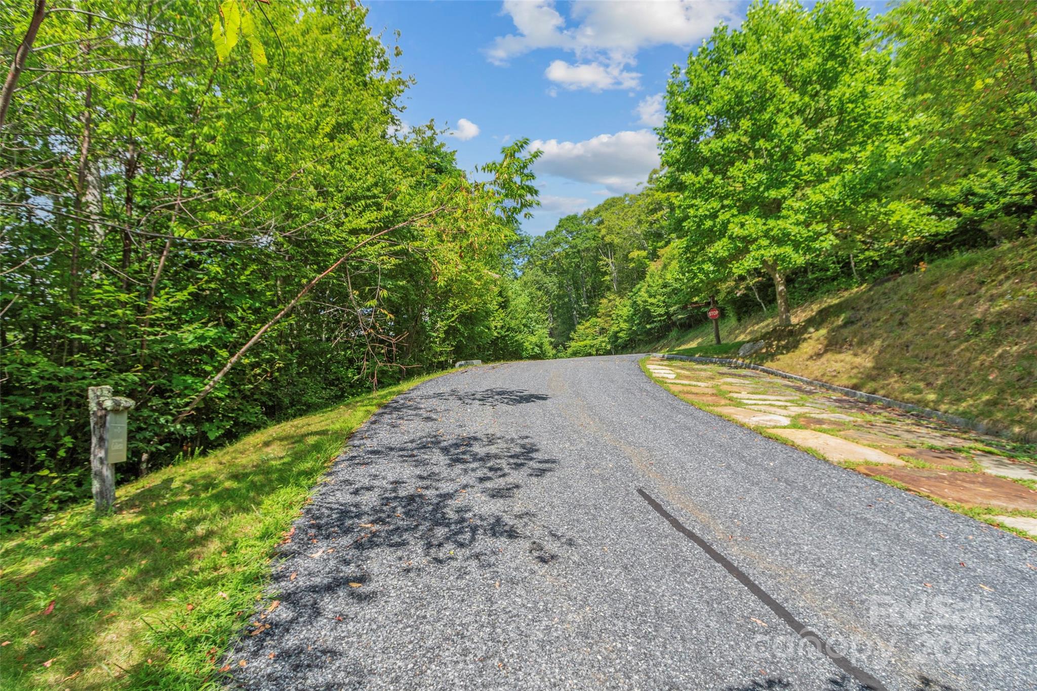 Lot 9 Wormy Chestnut Road Burnsville NC 28714