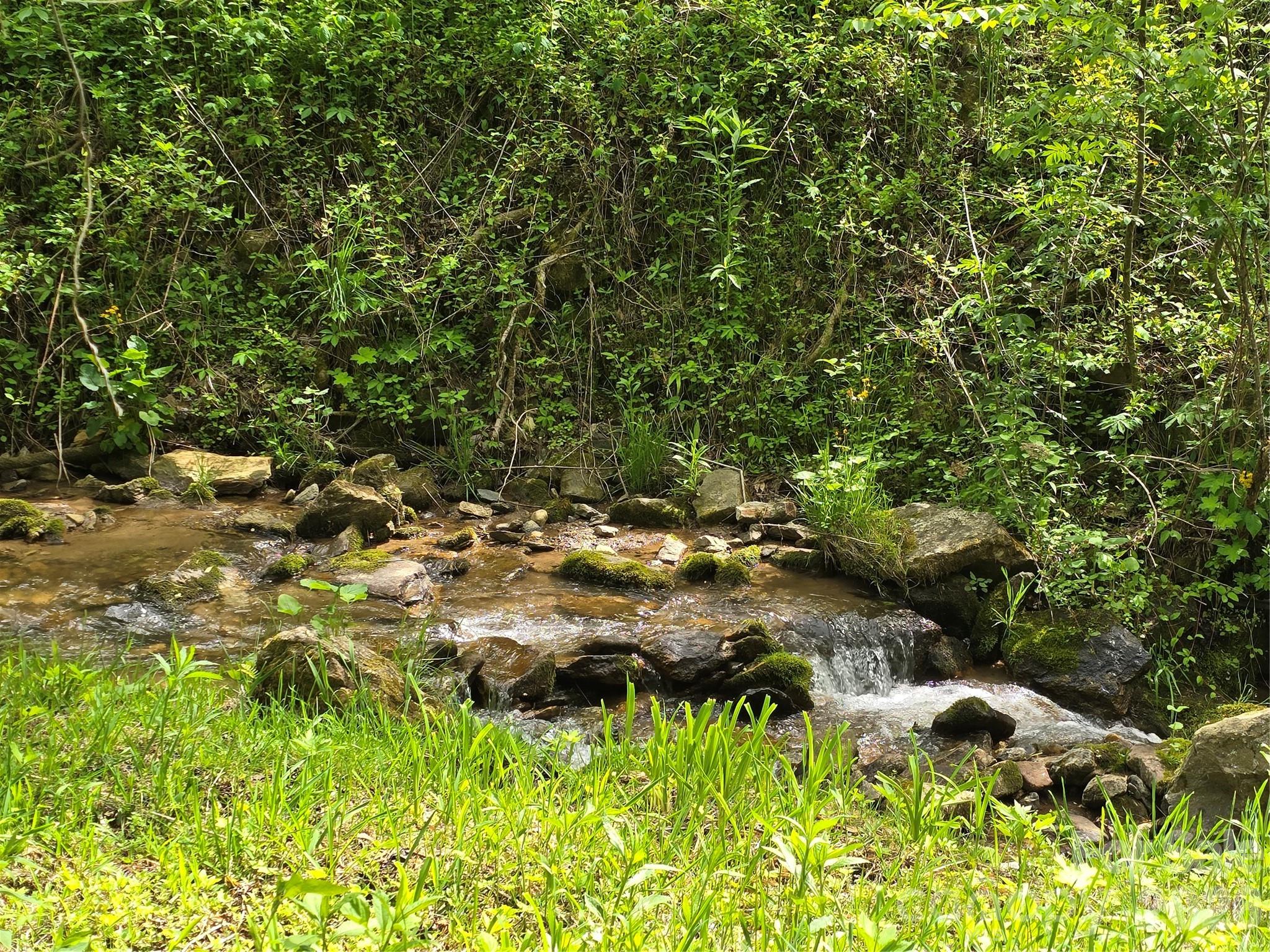99999 Roaring Fork Road Mars Hill NC 28754