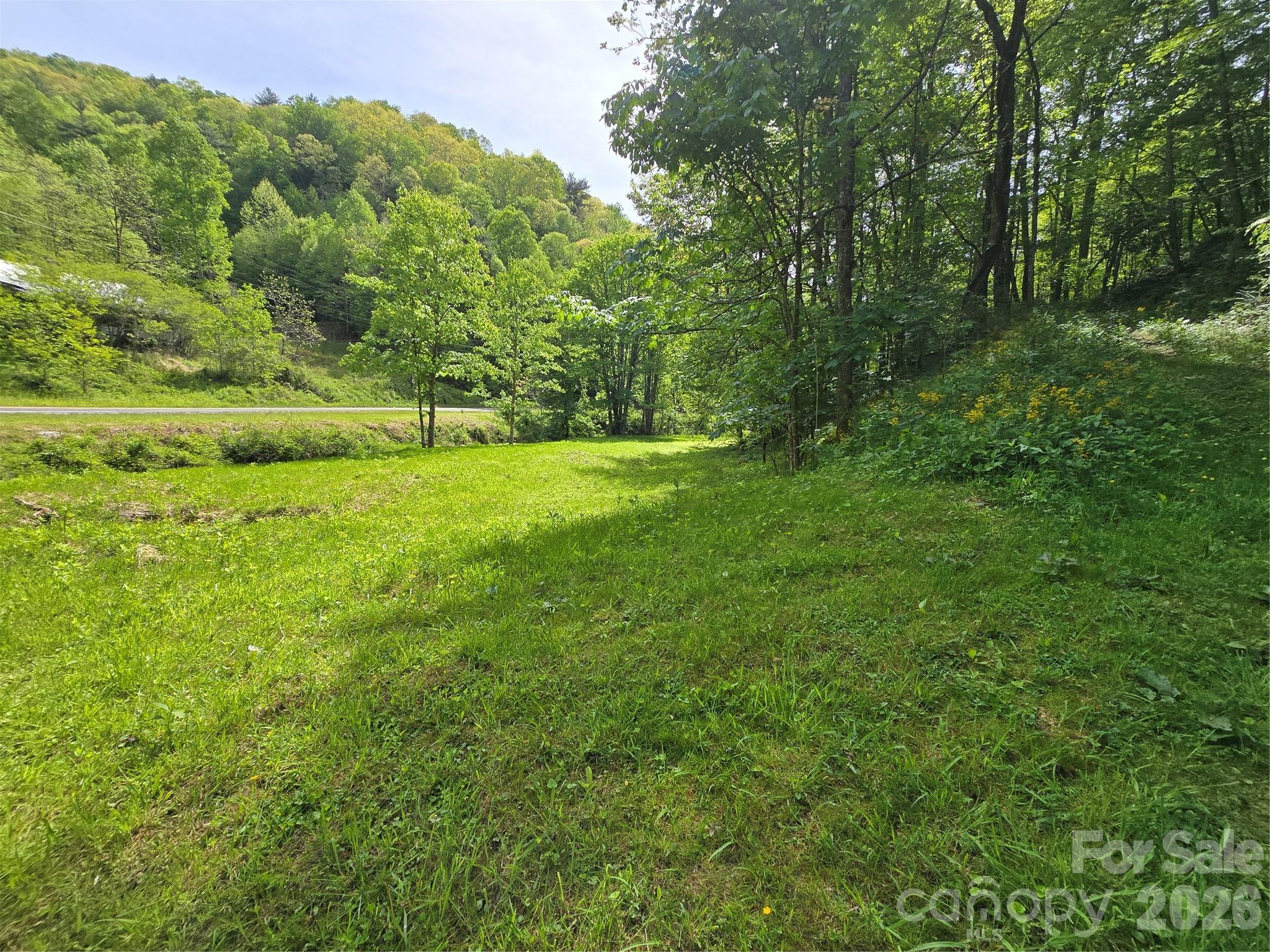 99999 Roaring Fork Road Mars Hill NC 28754