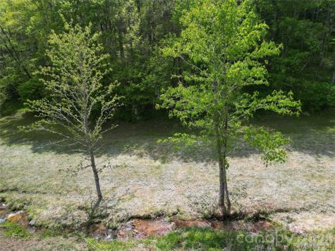 99999 Roaring Fork Road Mars Hill NC 28754