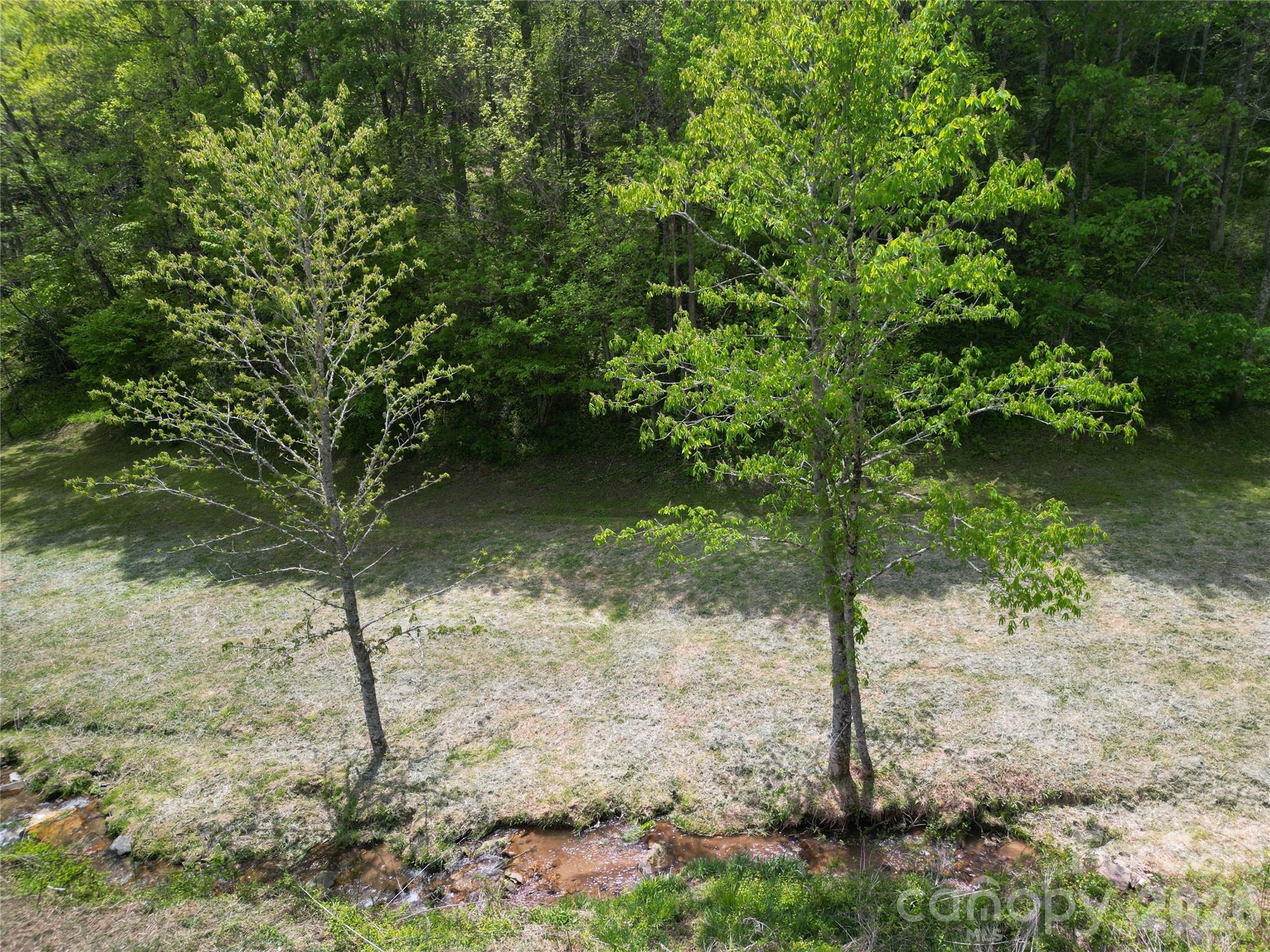 99999 Roaring Fork Road Mars Hill NC 28754