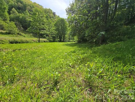 99999 Roaring Fork Road Mars Hill NC 28754