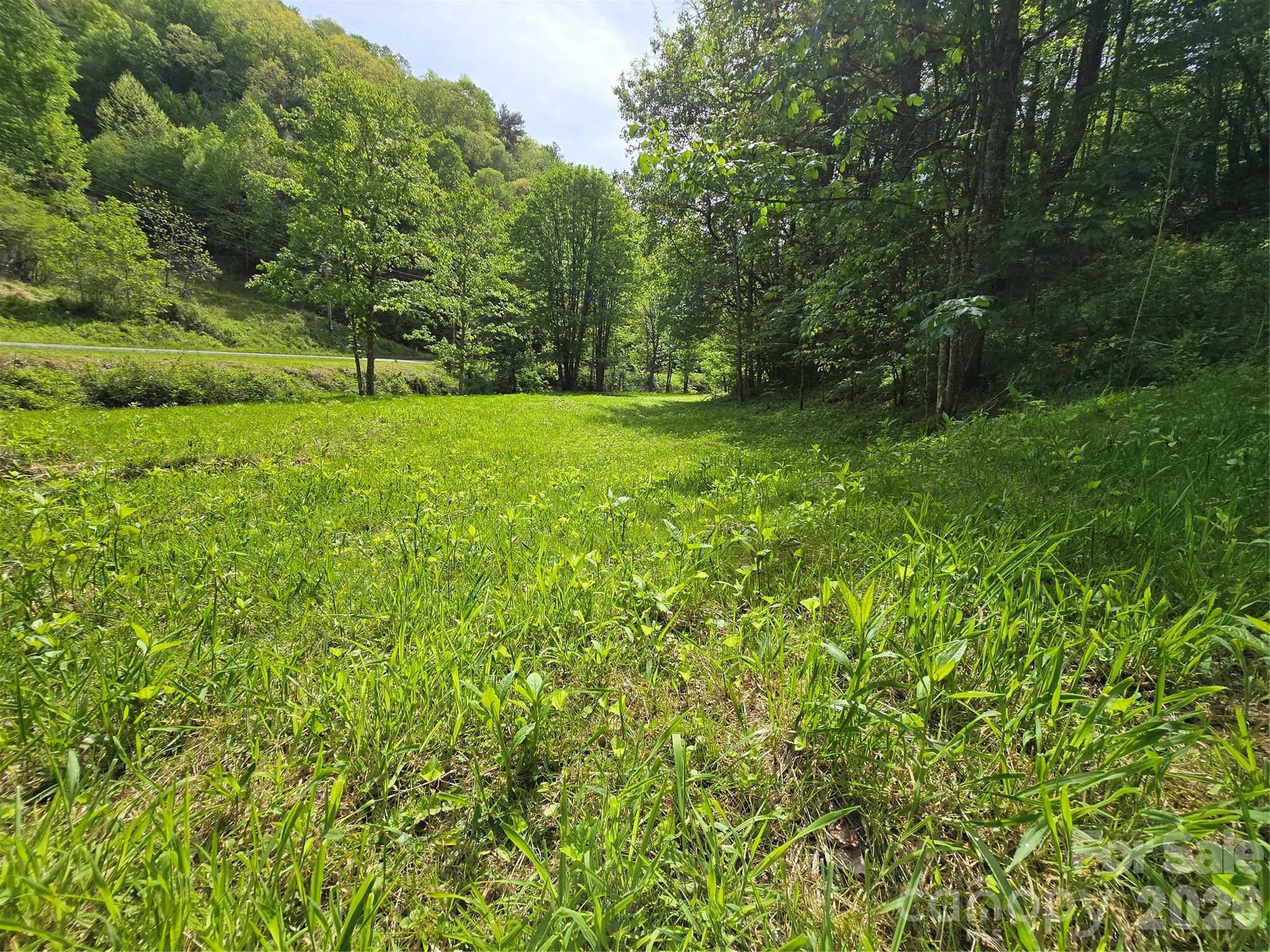 99999 Roaring Fork Road Mars Hill NC 28754