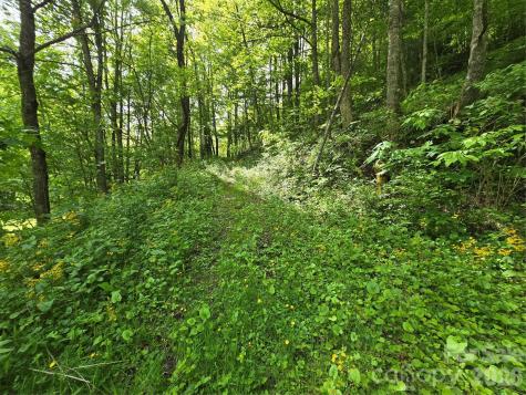 99999 Roaring Fork Road Mars Hill NC 28754