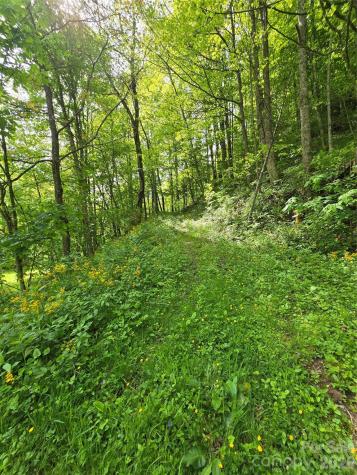 99999 Roaring Fork Road Mars Hill NC 28754
