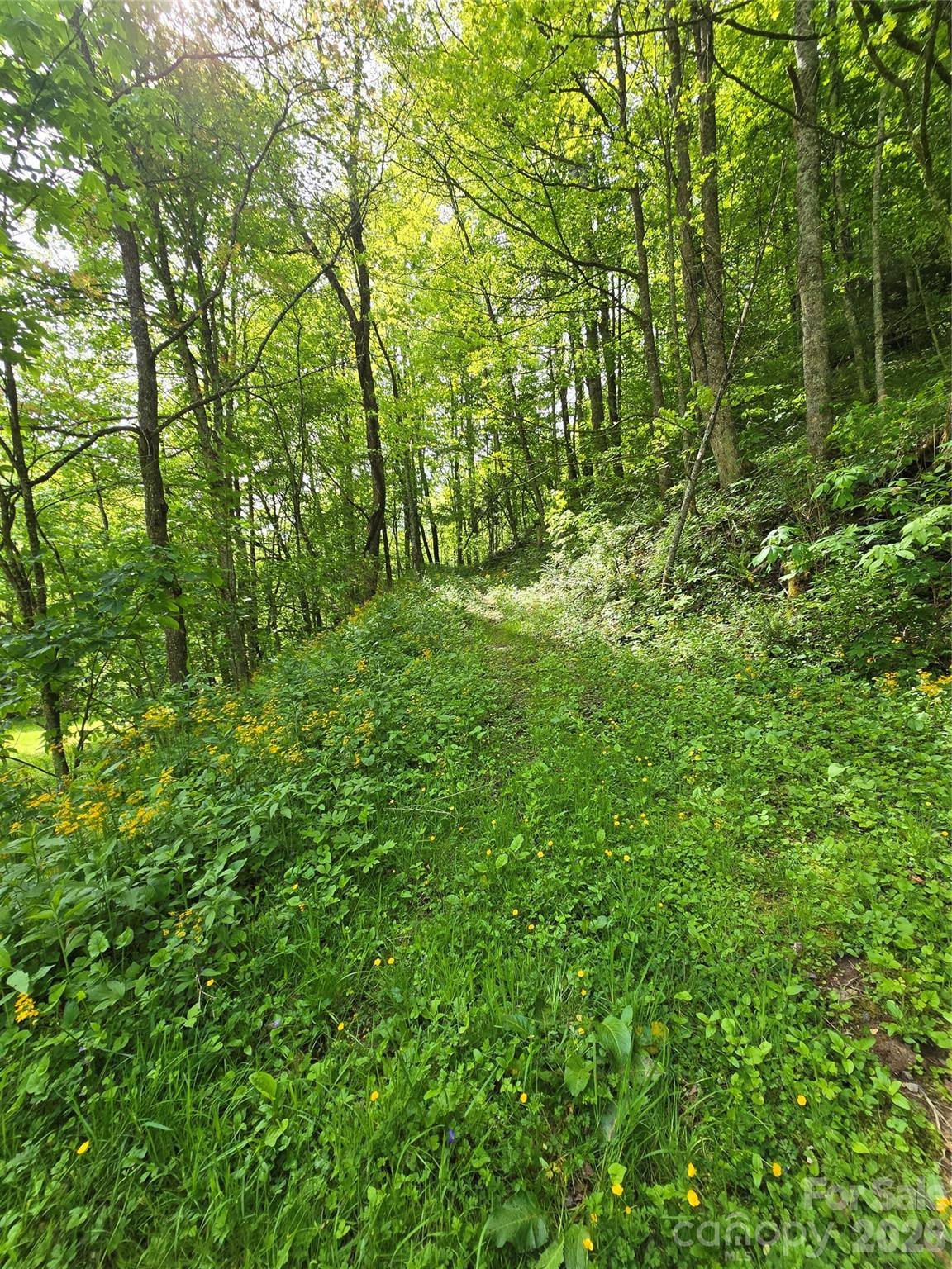 99999 Roaring Fork Road Mars Hill NC 28754