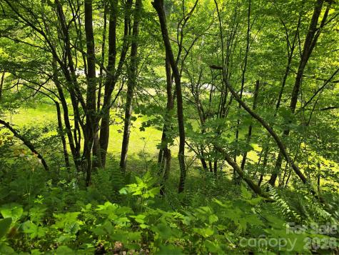 99999 Roaring Fork Road Mars Hill NC 28754