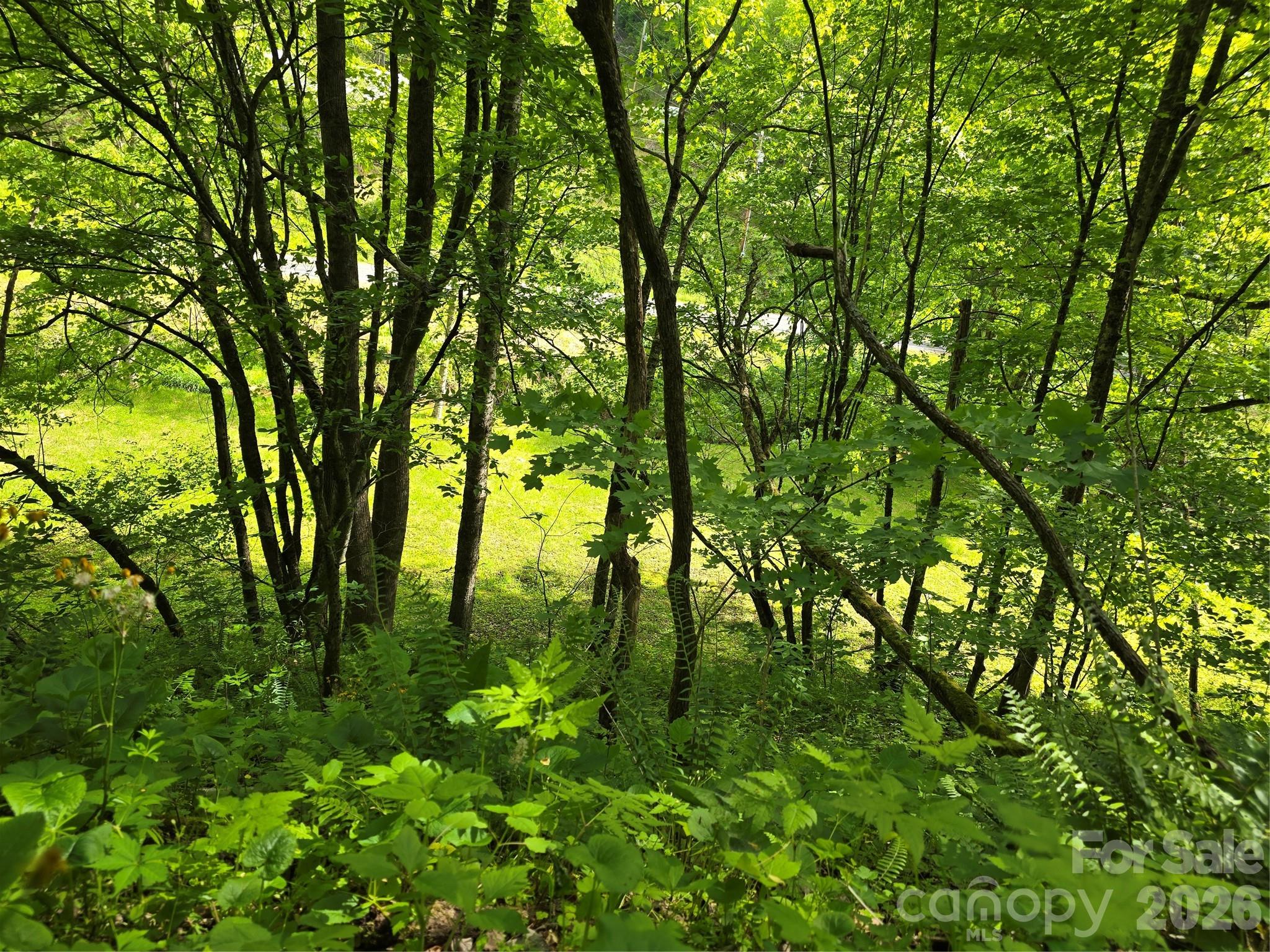 99999 Roaring Fork Road Mars Hill NC 28754