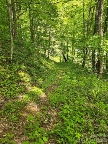 99999 Roaring Fork Road Mars Hill NC 28754