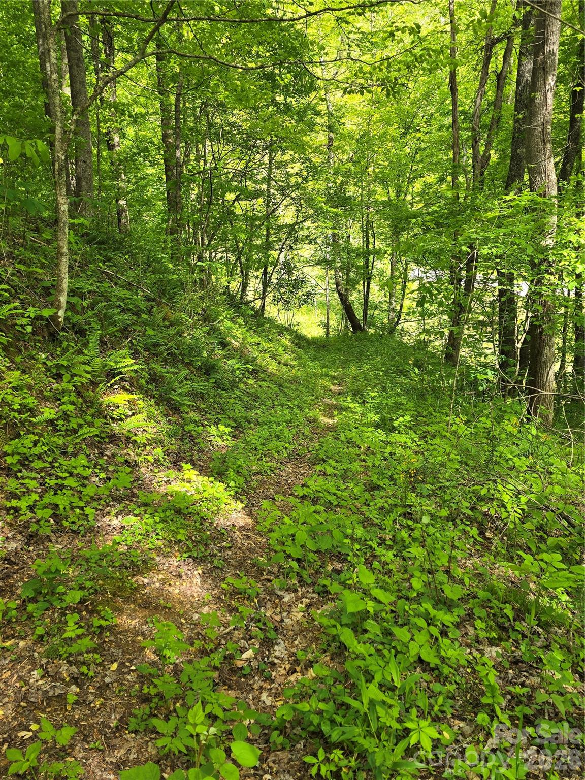 99999 Roaring Fork Road Mars Hill NC 28754