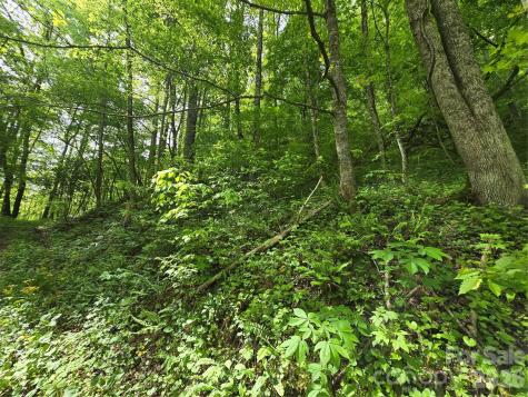 99999 Roaring Fork Road Mars Hill NC 28754