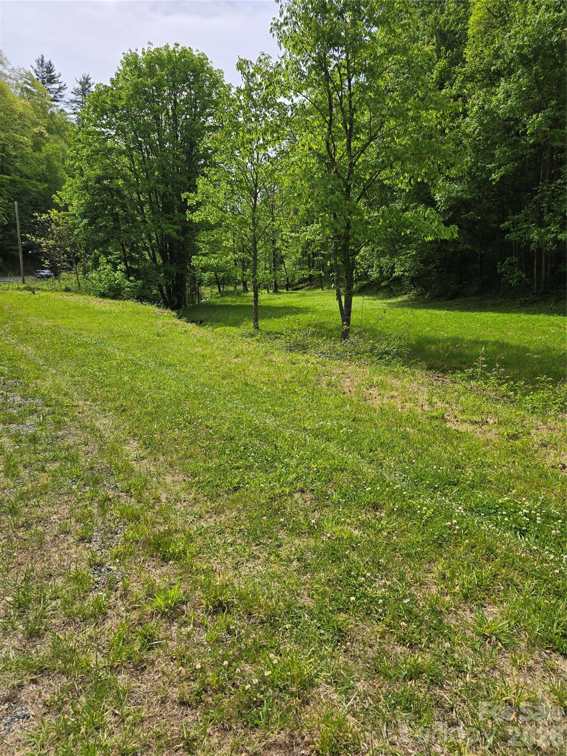 99999 Roaring Fork Road Mars Hill NC 28754