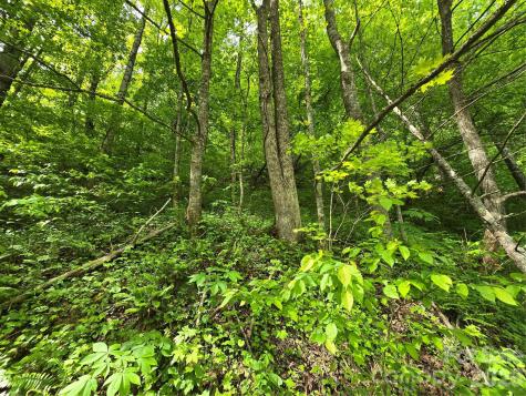 99999 Roaring Fork Road Mars Hill NC 28754
