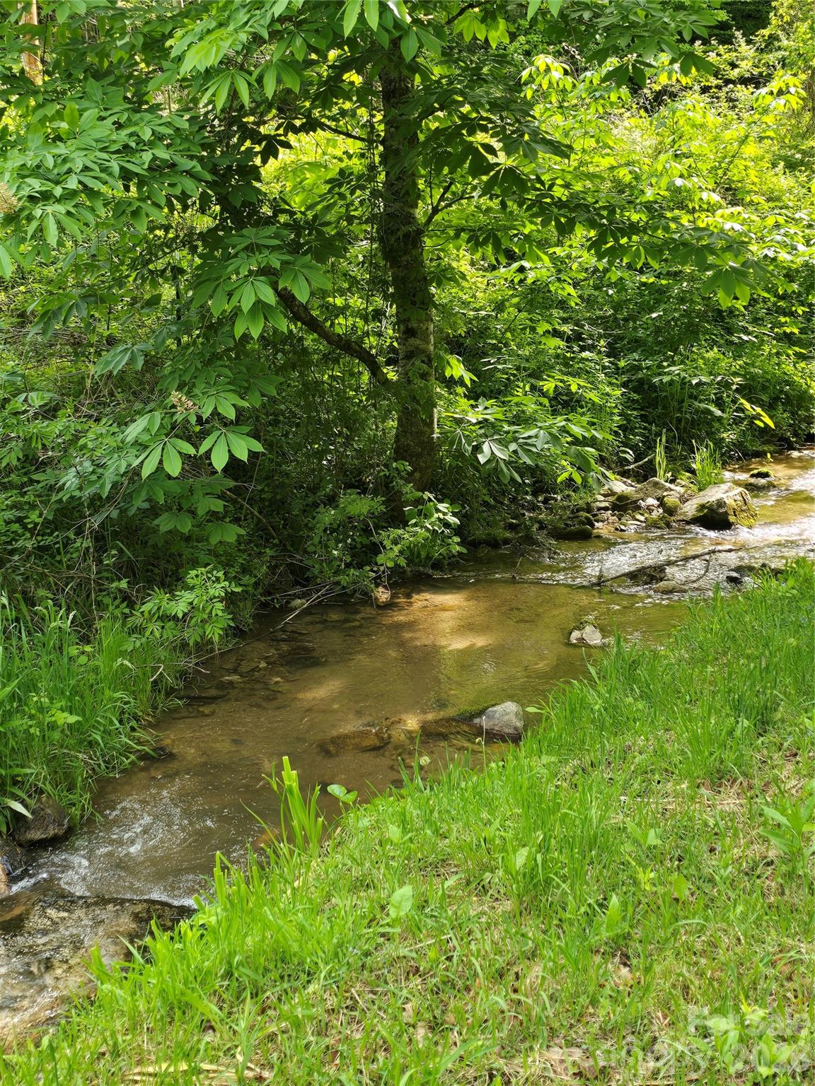99999 Roaring Fork Road Mars Hill NC 28754