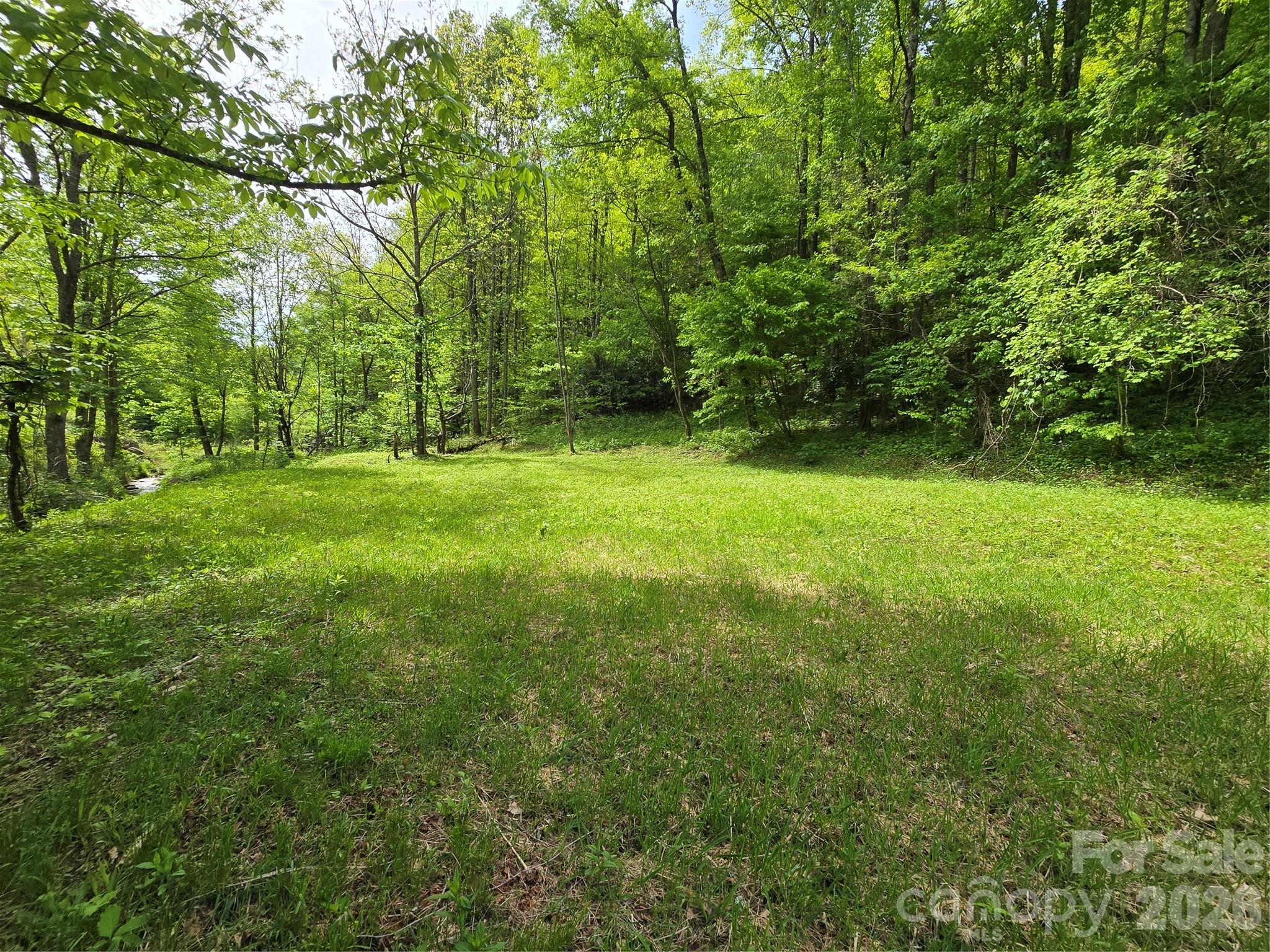 99999 Roaring Fork Road Mars Hill NC 28754