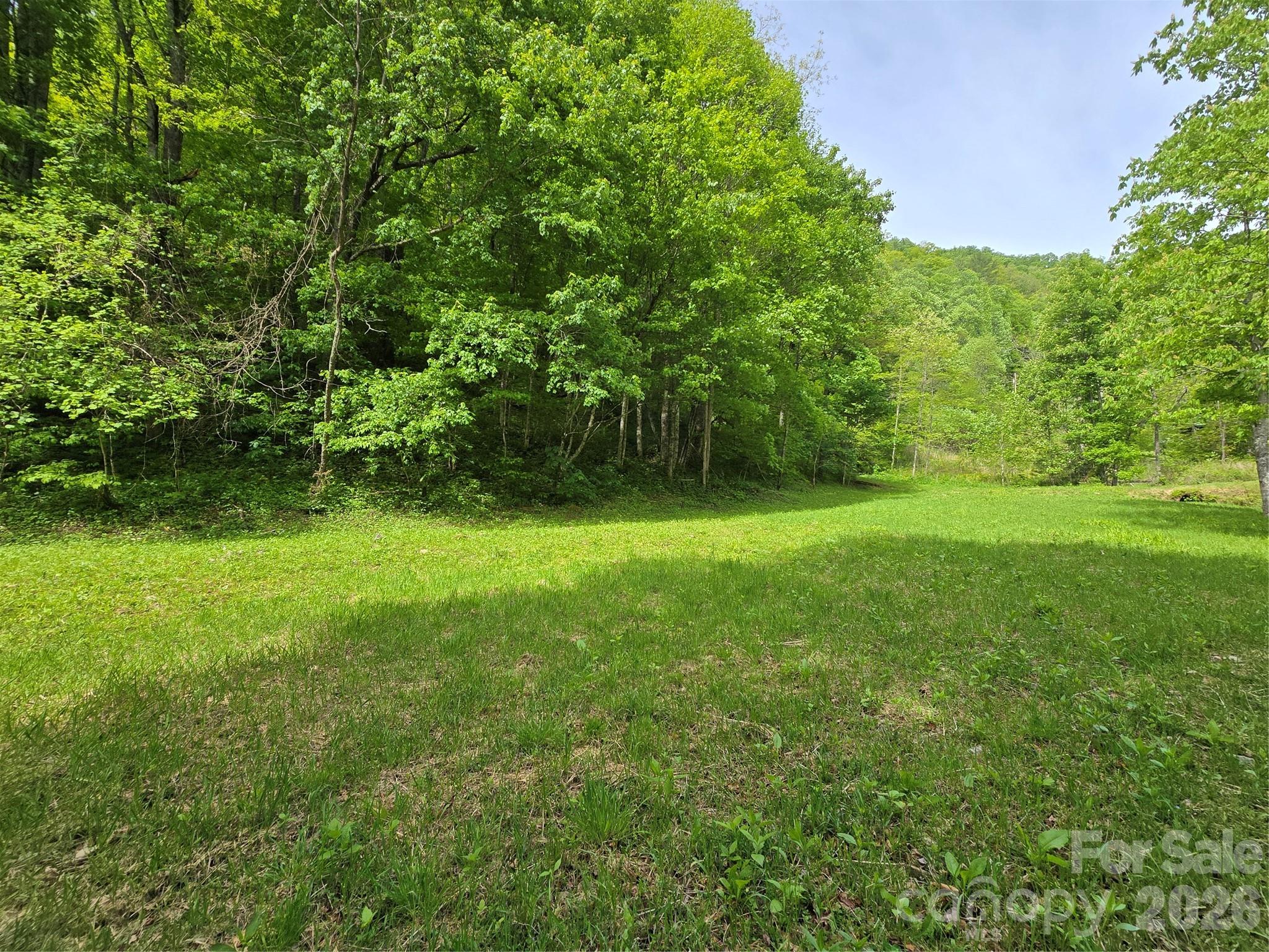 99999 Roaring Fork Road Mars Hill NC 28754