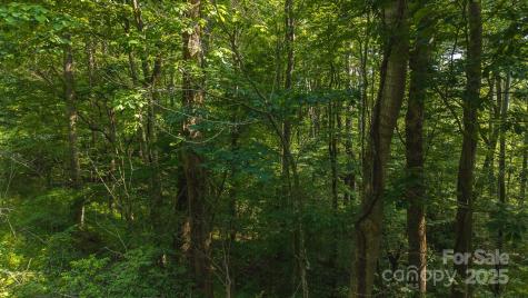 0 Brushy Mountain Road Moravian Falls NC 28654