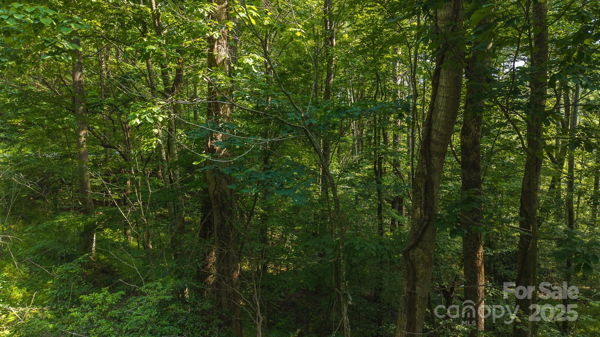 0 Brushy Mountain Road Moravian Falls NC 28654