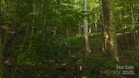 0 Brushy Mountain Road Moravian Falls NC 28654