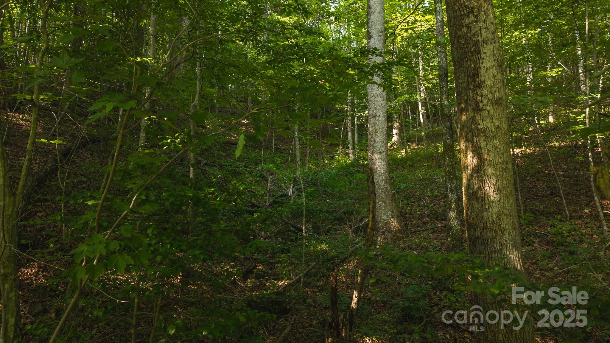 0 Brushy Mountain Road Moravian Falls NC 28654