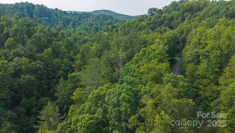 0 Brushy Mountain Road Moravian Falls NC 28654