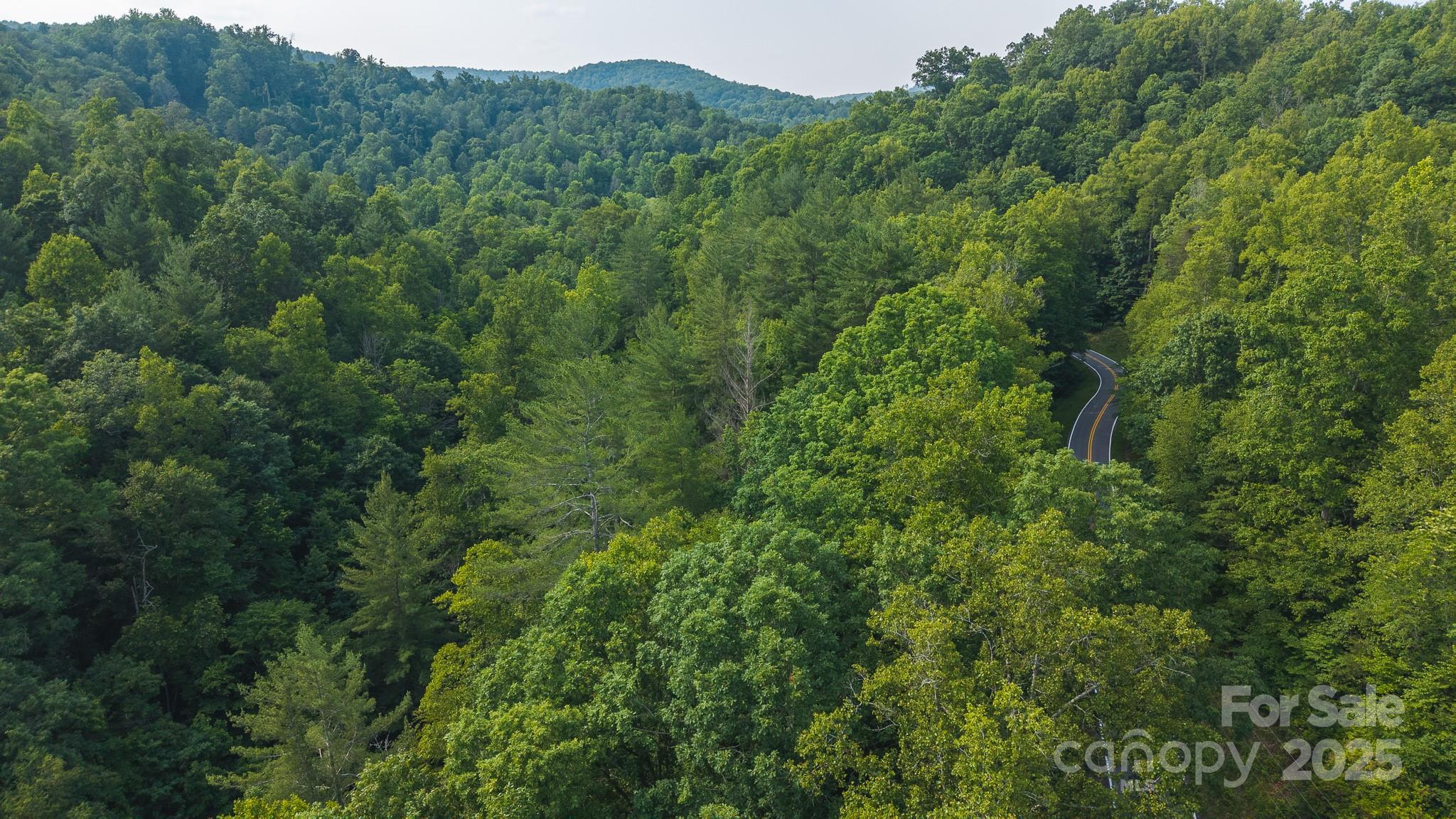 0 Brushy Mountain Road Moravian Falls NC 28654