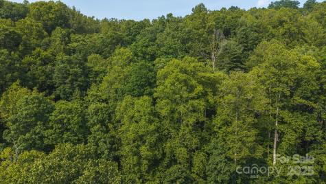 0 Brushy Mountain Road Moravian Falls NC 28654
